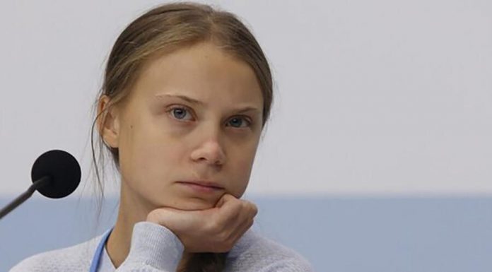 Scientists have named a new species of snail in honor of Greta Thunberg