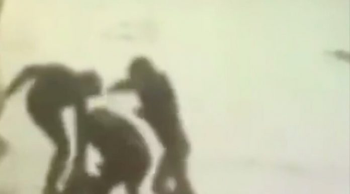 Several people came to blows at a cafe in the suburbs