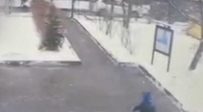 Six-year-old went from a kindergarten in Maine