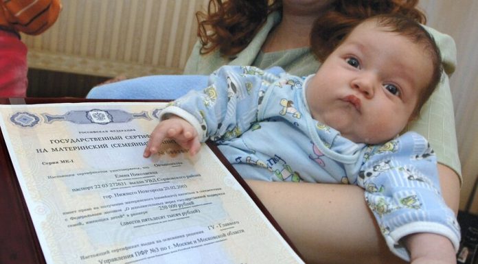 The deadline for issuance of the certificate on the matkapital will be reduced to five days