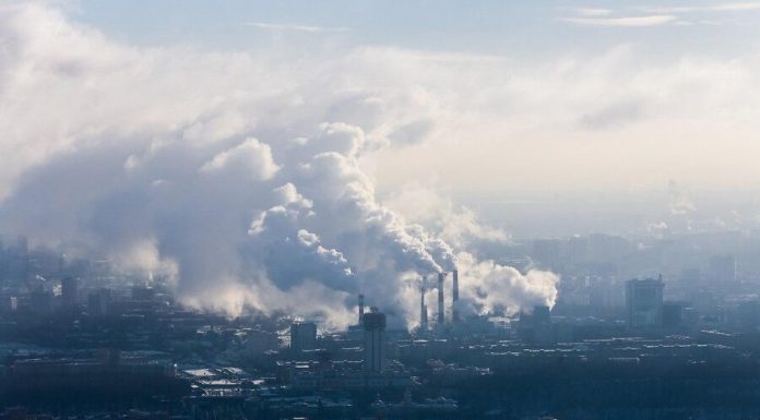 The expert told about climate change over the last 20 years