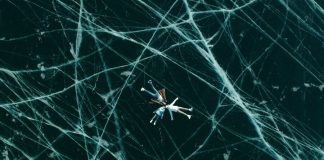 The film company will take part in the European Film Market in Berlin