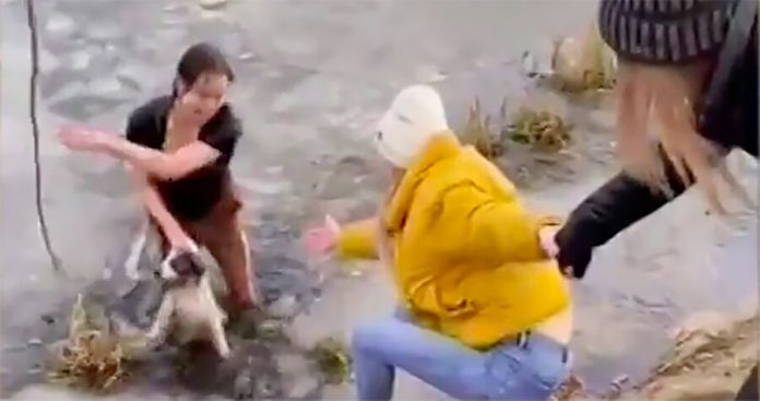 The mother of three children from Mytischi jumped over the dog in ice water