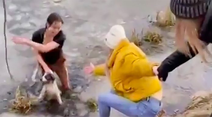 The mother of three children from Mytischi jumped over the dog in ice water The mother of three children from Mytischi jumped over the dog in ice water