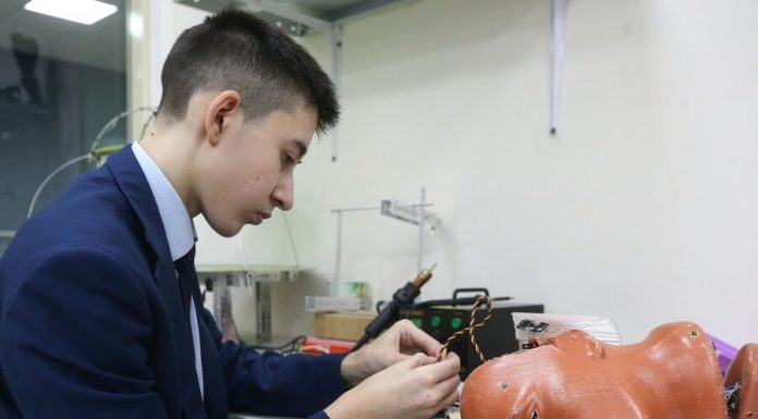 The study of artificial intelligence shall include in the school curriculum