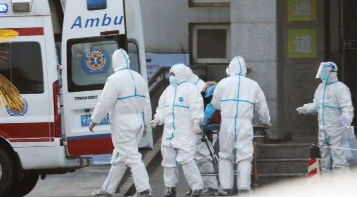 The who describes the outbreak of coronavirus as an epidemic, with many lesions