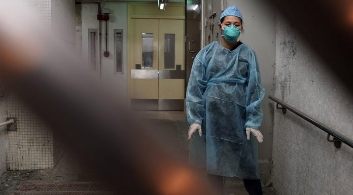 Two Russian test systems against coronavirus found to be effective