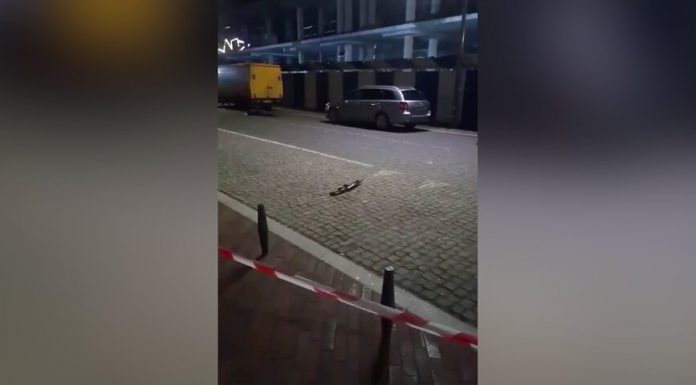 Unknown opened fire in Kaliningrad