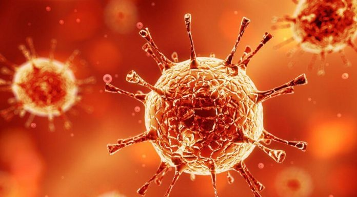 Who gave a new coronavirus called the COVID-19 Who gave a new coronavirus called the COVID-19