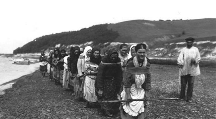 Why the Kama river Volga is more important