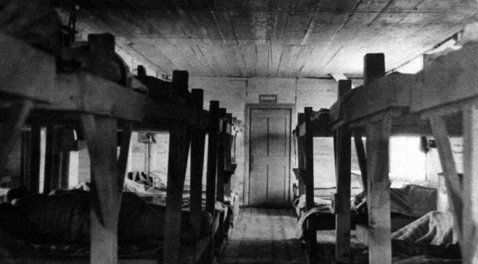 Why the top bunk in the Gulag was considered a "luxury" sleeper