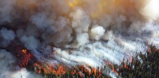 Authorities in Khabarovsk region have reported five natural fires in the region