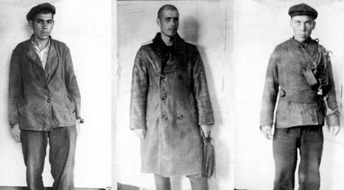 “Black cat” and others the most terrible gang in the USSR "Black cat" and others the most terrible gang in the USSR