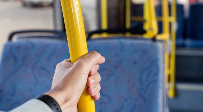 Bus “Desire”: how to start a new route Bus "Desire": how to start a new route