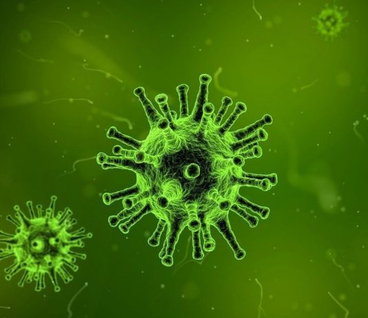 For the distribution of dangerous fakes on the coronavirus will put