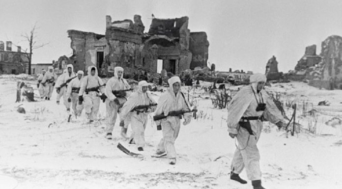 How many died soldiers of the red Army in attempts of breaking the siege of Leningrad How many died soldiers of the red Army in attempts of breaking the siege of Leningrad