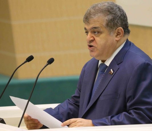Member of the Federation Council responded to the criticism of Russian aid Italy Member of the Federation Council responded to the criticism of Russian aid Italy