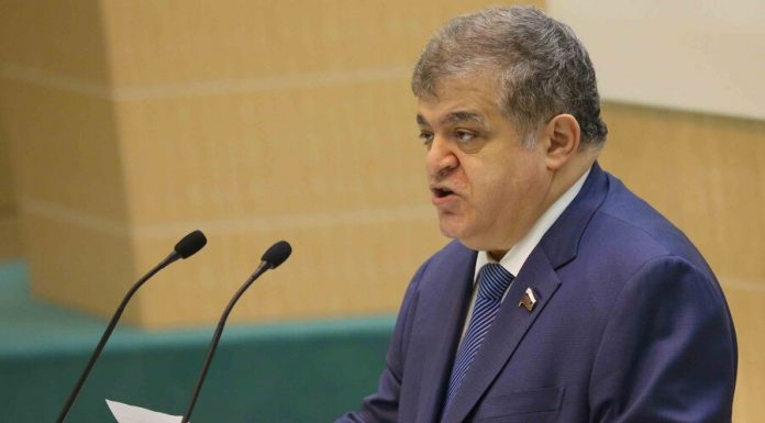 Member of the Federation Council responded to the criticism of Russian aid Italy