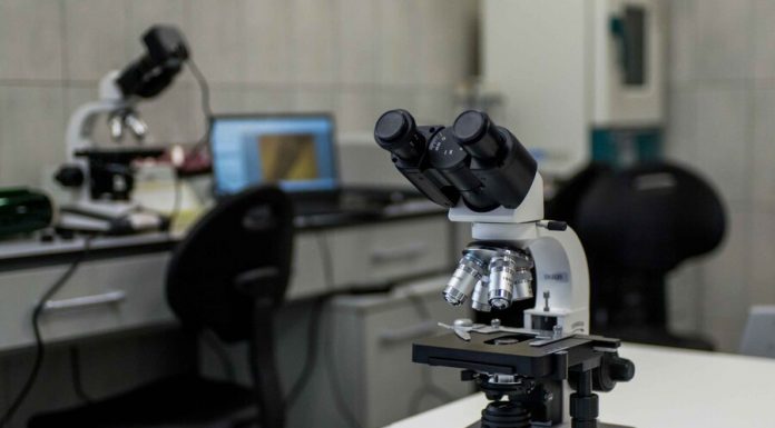 Members of scientific institutions complained to the Council on the need to go to work