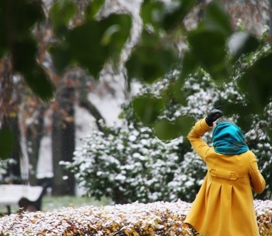 Muscovites warned of a sharp drop in temperature on March 29 Muscovites warned of a sharp drop in temperature on March 29