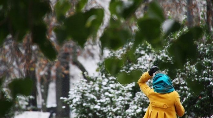 Muscovites warned of a sharp drop in temperature on March 29