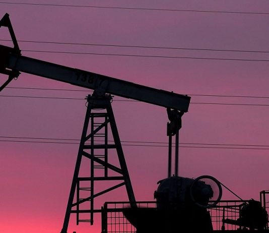 Project Syndicate (USA): radically new oil strategy in Saudi Arabia