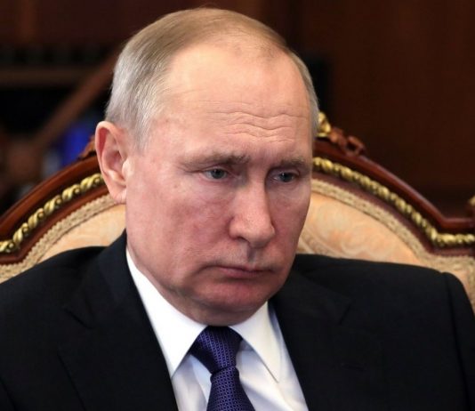 Putin pinched tail fat cats Putin pinched tail fat cats