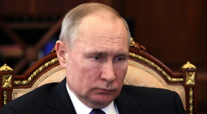 Putin pinched tail fat cats Putin pinched tail fat cats