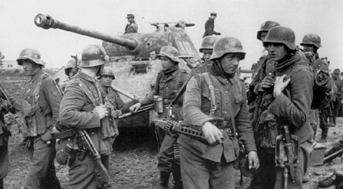 Talks between Wolff and DULLES: did the allies betray the Soviet Union Talks between Wolff and DULLES: did the allies betray the Soviet Union