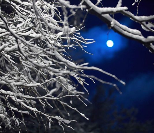 The European part of Russia expect frosty nights – Vilfand