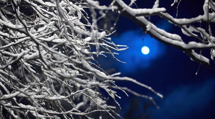 The European part of Russia expect frosty nights – Vilfand The European part of Russia expect frosty nights – Vilfand