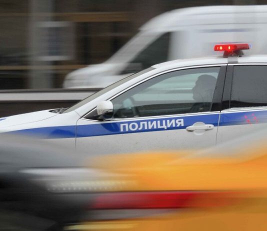 The figure of the horse was kidnapped in one of the courtyards of Moscow The figure of the horse was kidnapped in one of the courtyards of Moscow