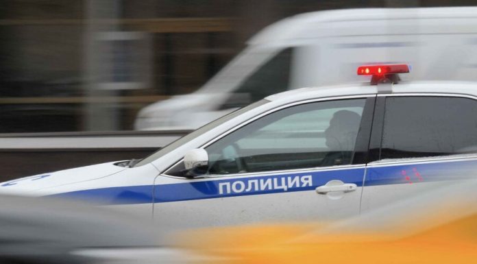 The figure of the horse was kidnapped in one of the courtyards of Moscow