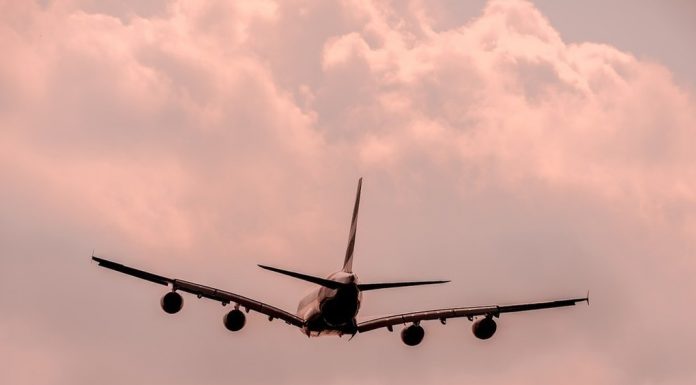 The flow of Russians from the countries with the coronavirus have not yet taken full control