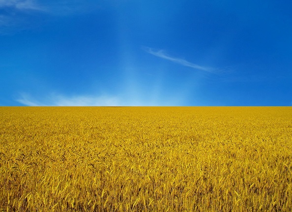What really is the meaning of the colors of the Ukrainian flag