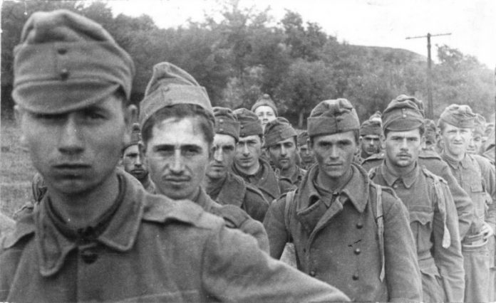 Why Vatutin ordered not to take prisoners Hungarian soldiers of Hitler