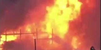 Wildfire came close to the "growth Stage"