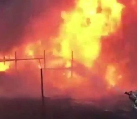 Wildfire came close to the “growth Stage” Wildfire came close to the "growth Stage"