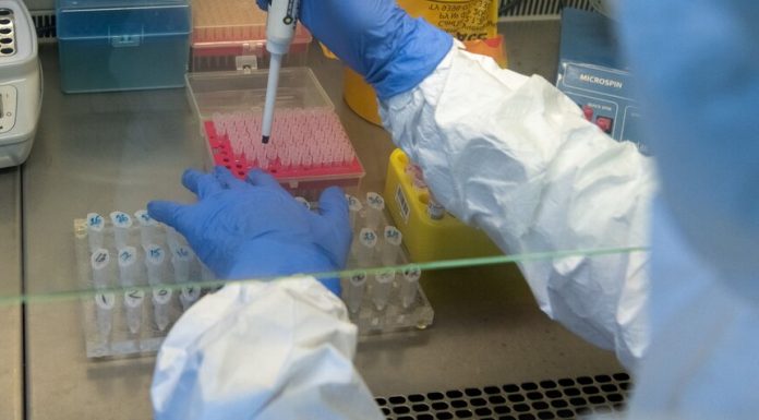 A day in Russia 440 confirmed cases of coronavirus infection A day in Russia 440 confirmed cases of coronavirus infection