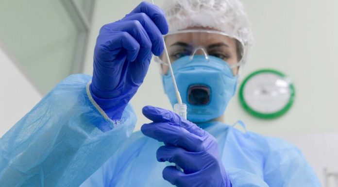 Became known, when will start the Express testing COVID-19 in Russia Became known, when will start the Express testing COVID-19 in Russia