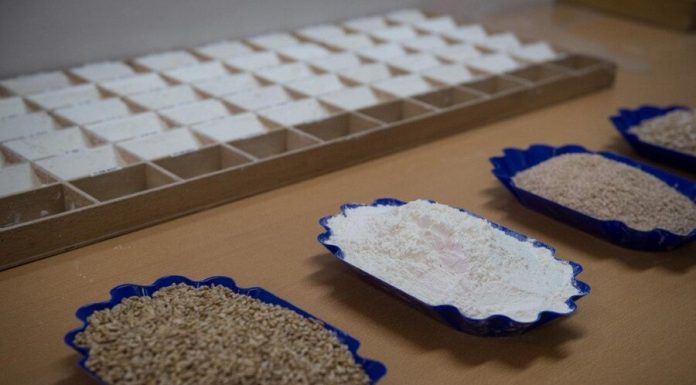 From the Union has banned the export of cereals, flour and garlic until 30 June From the Union has banned the export of cereals, flour and garlic until 30 June