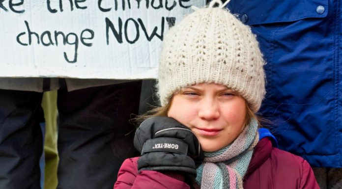 Greta Thunberg worried: Is Corona just the beginning? Will more lethal epidemics follow?