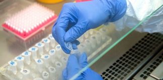 In Moscow for the day revealed 536 new cases COVID-19