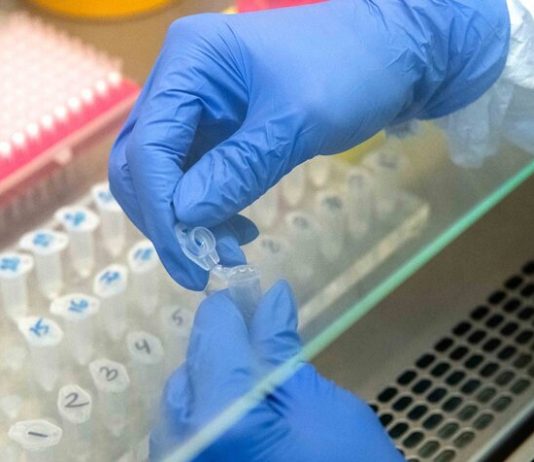 In Moscow for the day revealed 536 new cases COVID-19