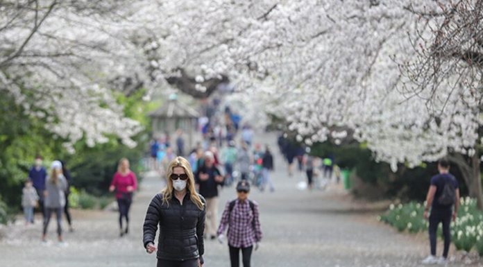 In new York, made the burial of victims COVID-19 parks