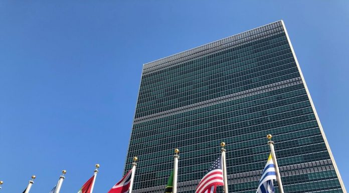 In Russia appreciated the blocking of the Russian Declaration to combat coronavirus in the UN