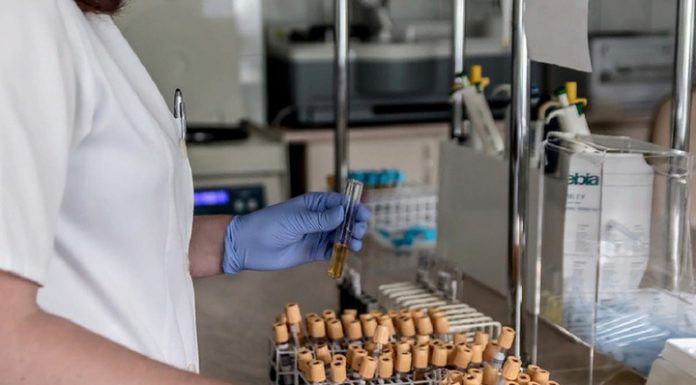 In the hospital Kommunarka during the day, 26 people have been admitted, discharged 35