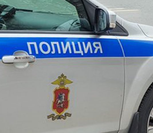 Large Muscovite in quarantine began to mock his own children Large Muscovite in quarantine began to mock his own children