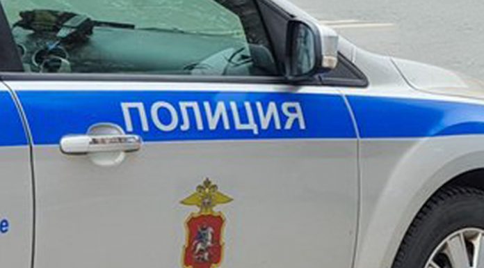 Large Muscovite in quarantine began to mock his own children