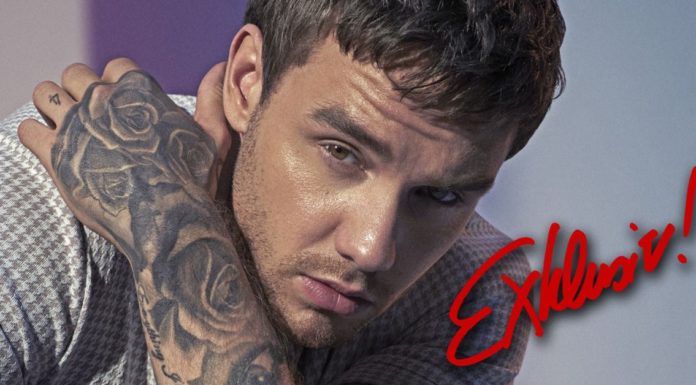 Liam Payne blames the media for buying hamsters?